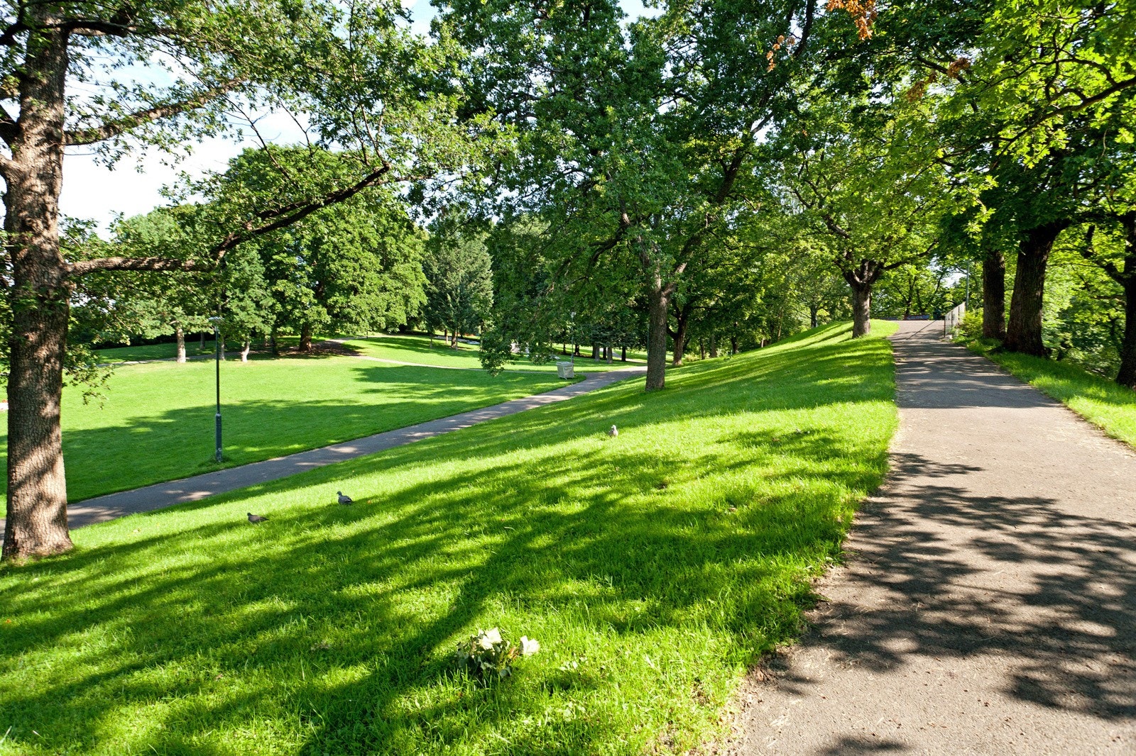 Bjølsenparken Galleribilde