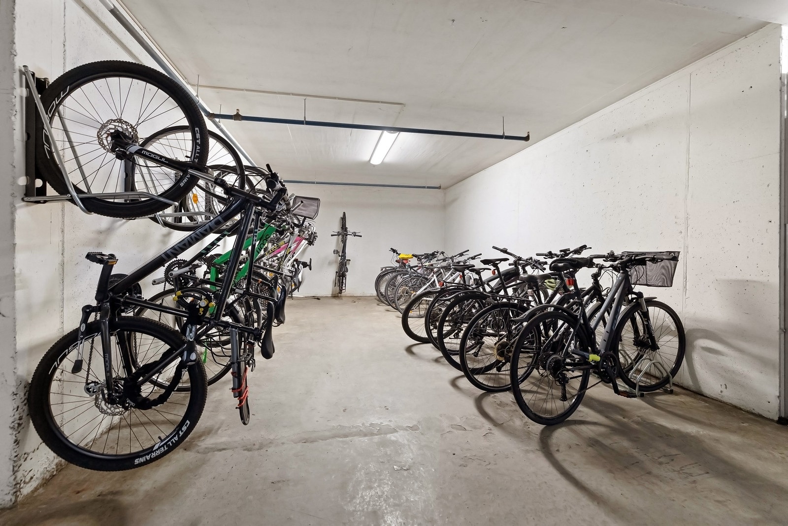 Felles sykkelbod Galleribilde