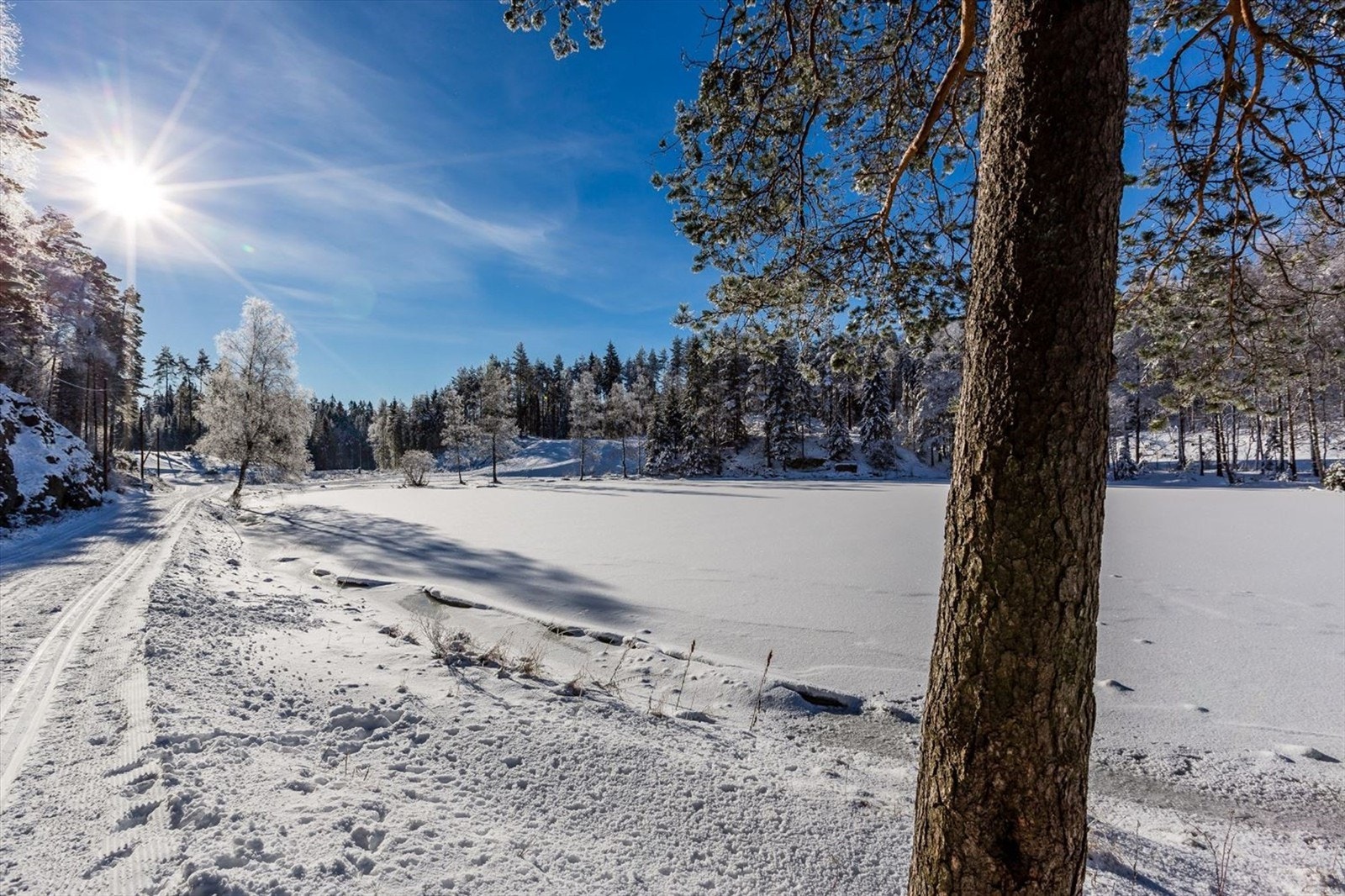 Milevis med skiløyper i Lillomarka Galleribilde