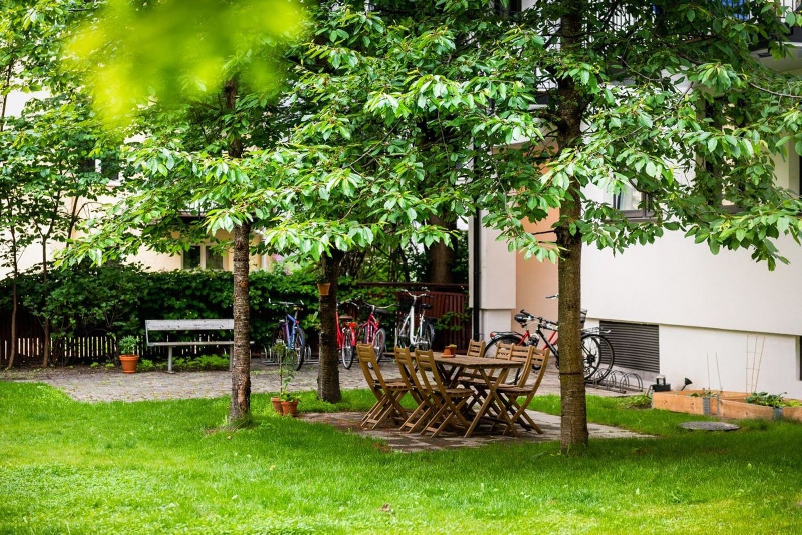 Trivelig bakgård i borettslaget. Galleribilde