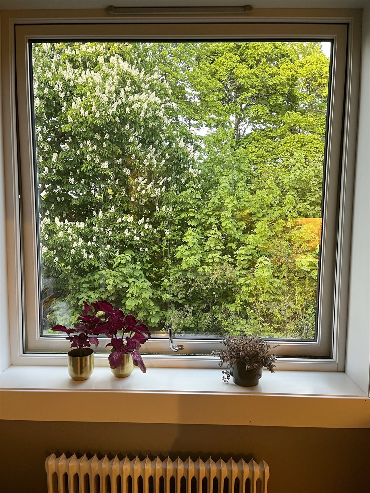 Grønt og fint utsyn fra vinduet. Galleribilde