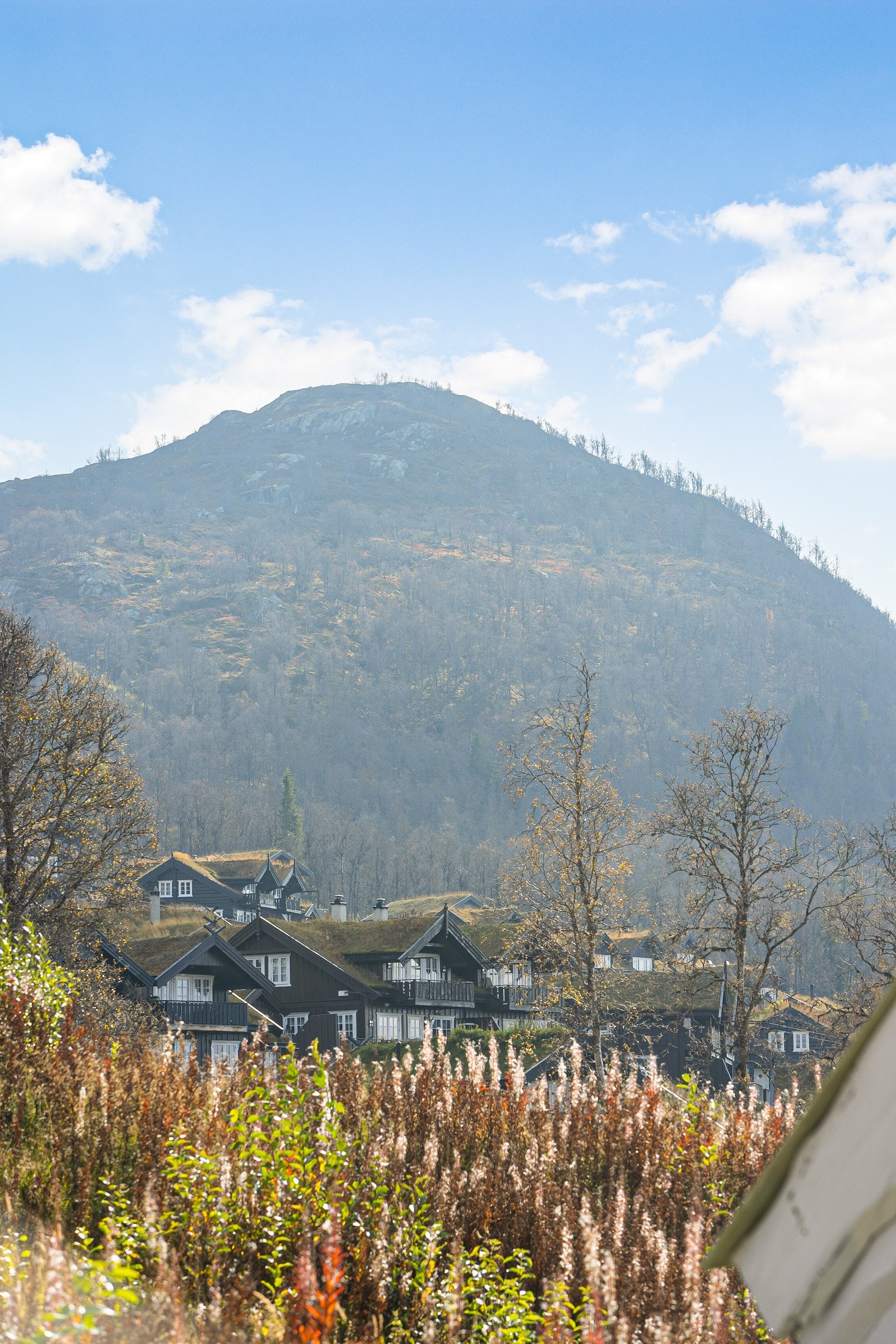 Store vinduer med nydelig utsikt fra hovedsoverommet Galleribilde