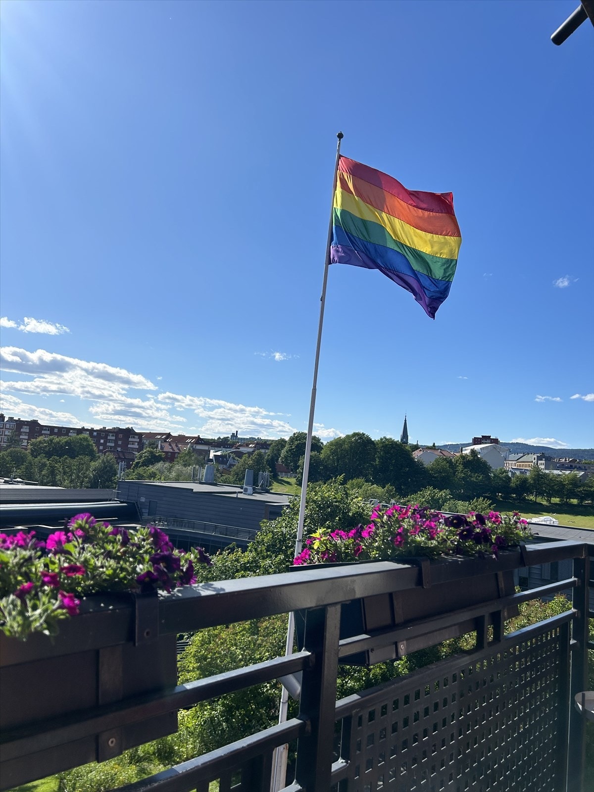 Frodig sommerbilde tatt av selger Galleribilde