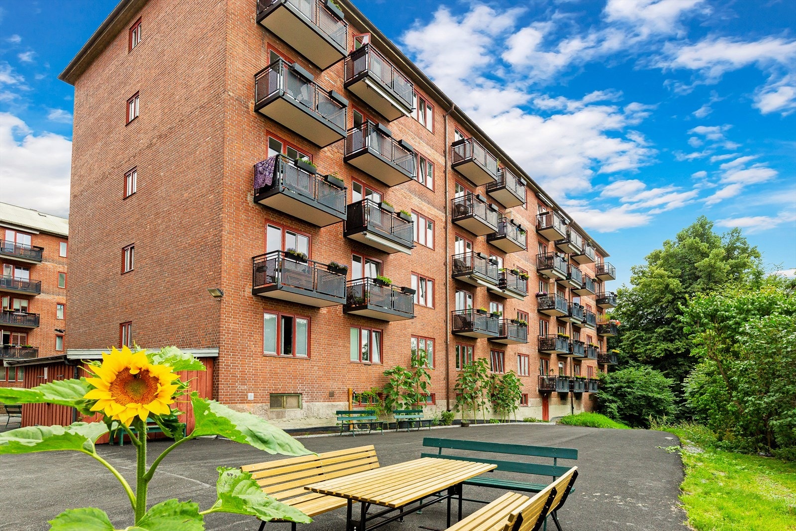 Fasade. Galleribilde