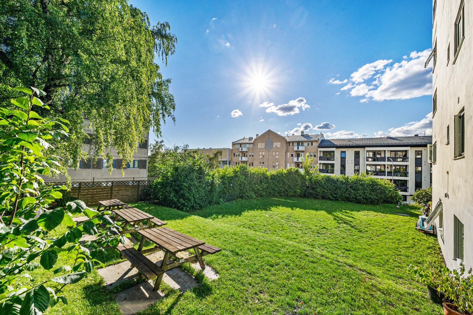 Flere grønne "lunger" i nærområder. Galleribilde