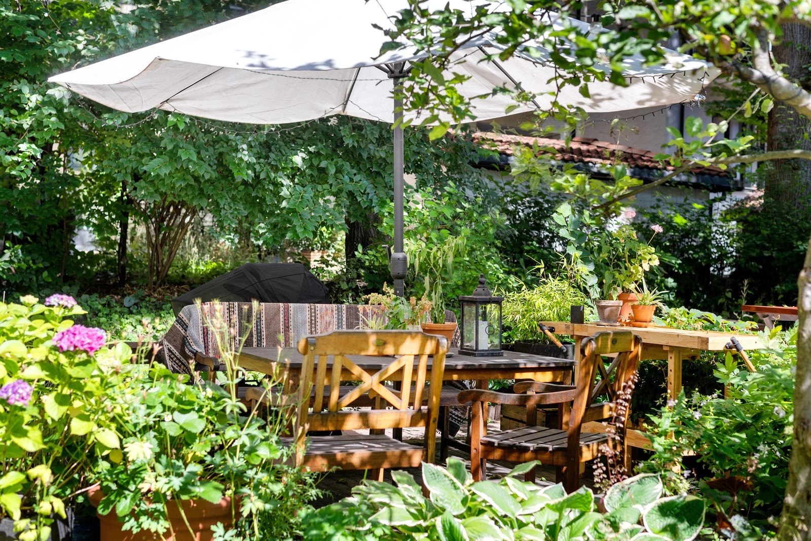 - Gårdsrommet er en grønn oase sommerstid - Galleribilde