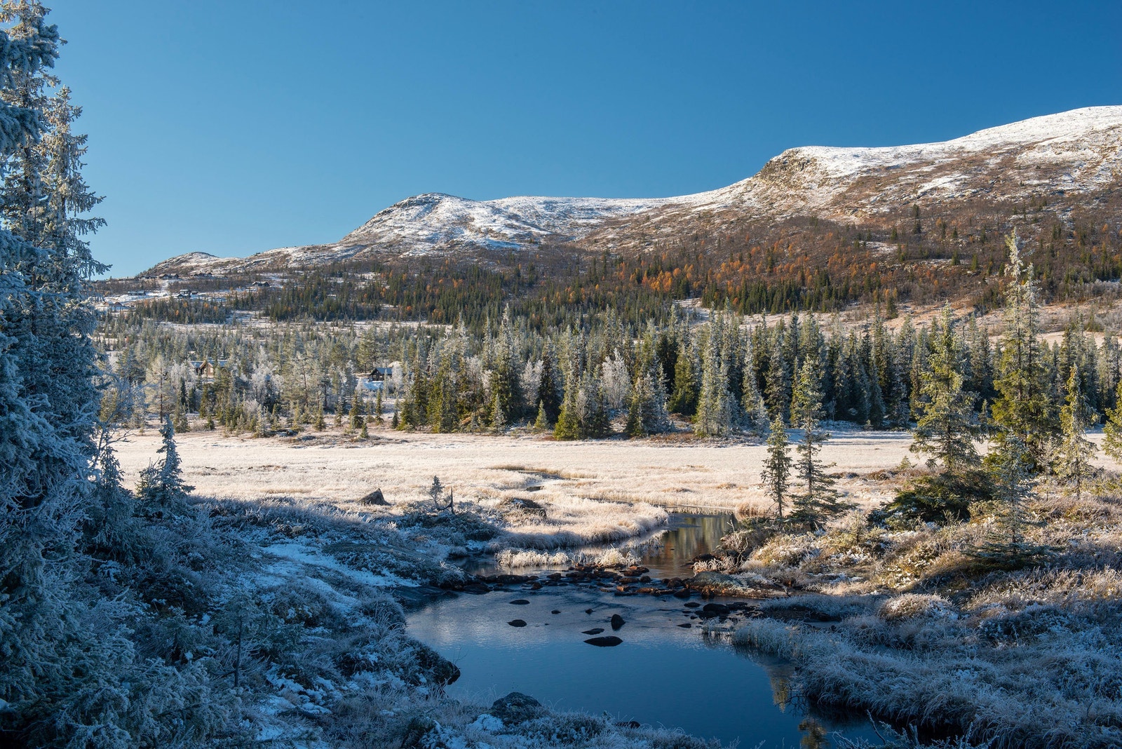 Reinsjøfjell byr på vakker natur og turmuligheter året rundt. Galleribilde