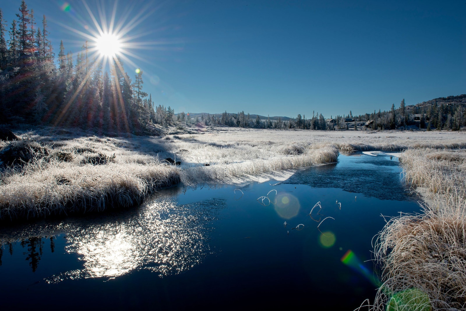 Fjellets vintermagi kan oppleves på nært hold. Galleribilde