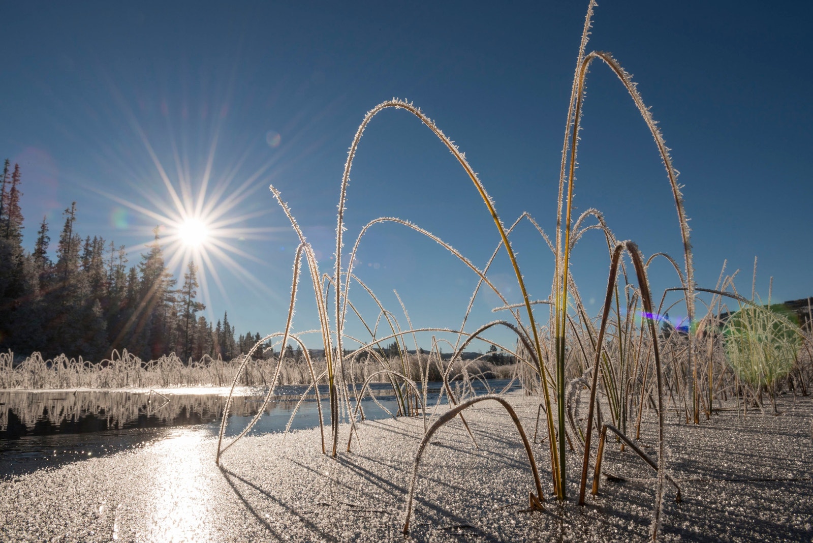 Rett i nærheten av hytta finner du det store fjellvannet Helgevatnet. Galleribilde