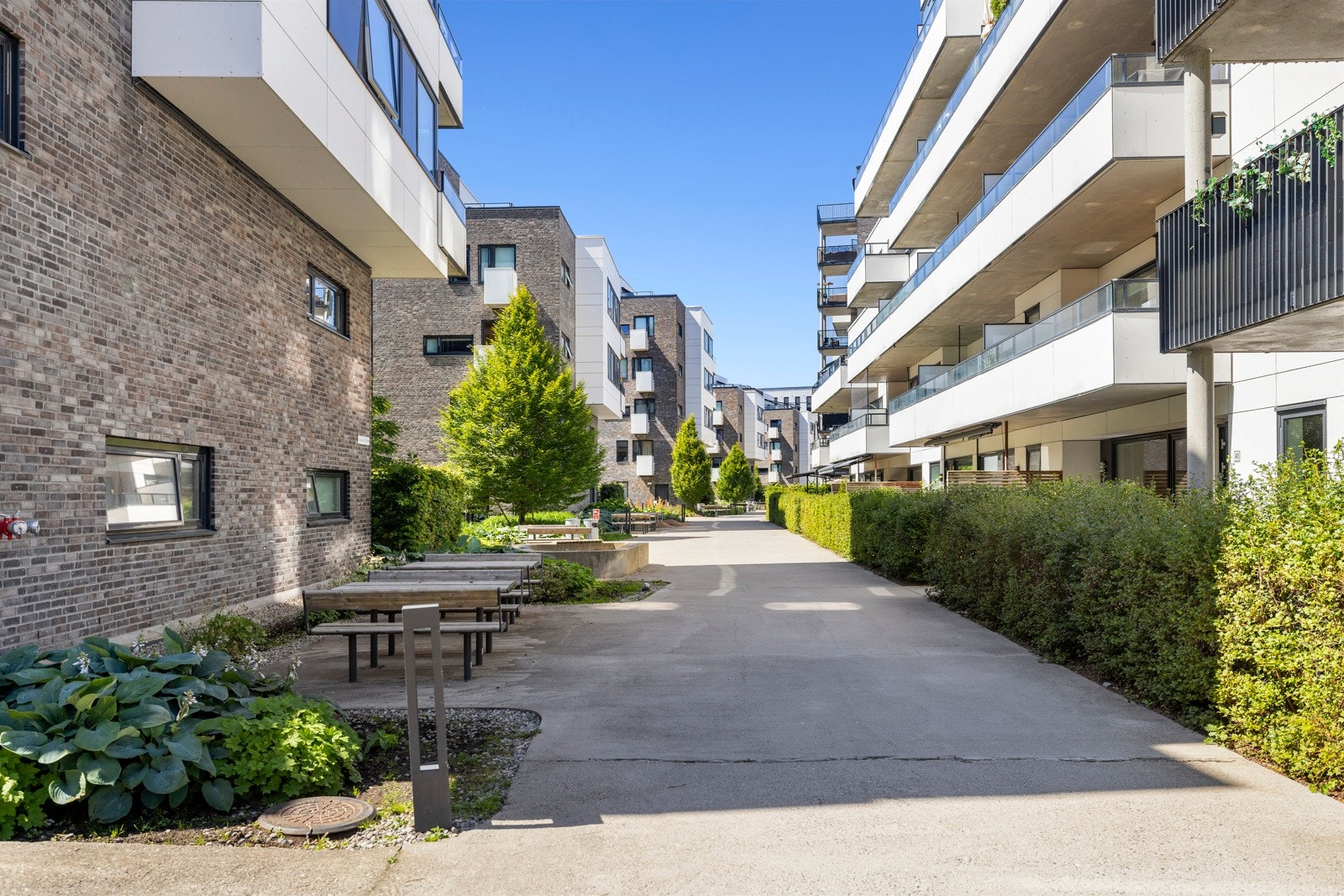 Fellesområde. Galleribilde