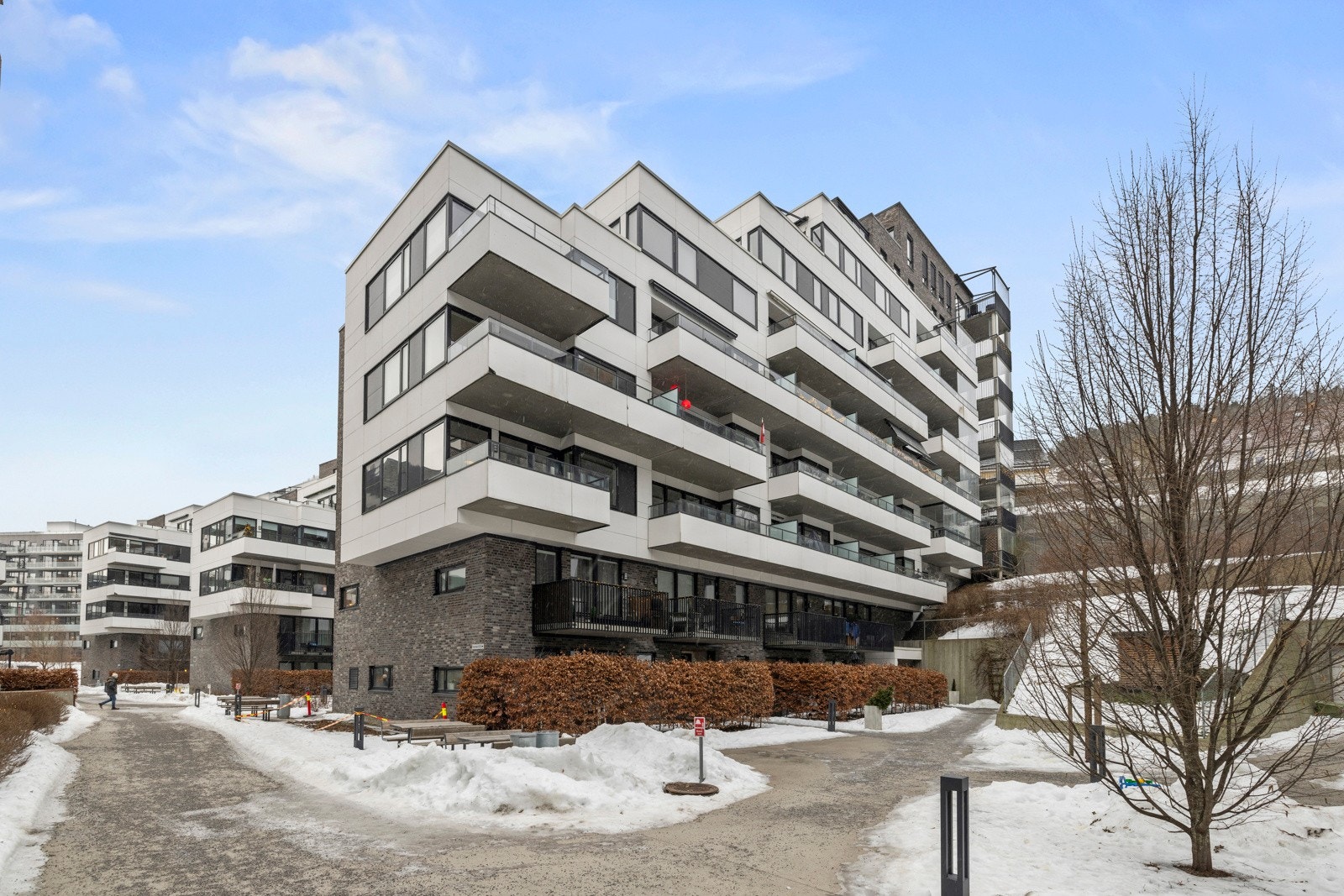 Fasade. Galleribilde