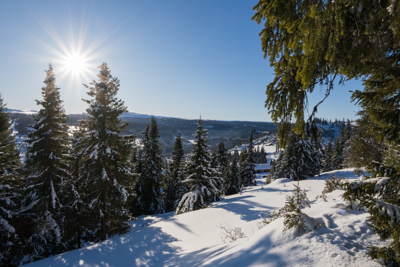 Skap din drømmehytte! Galleribilde