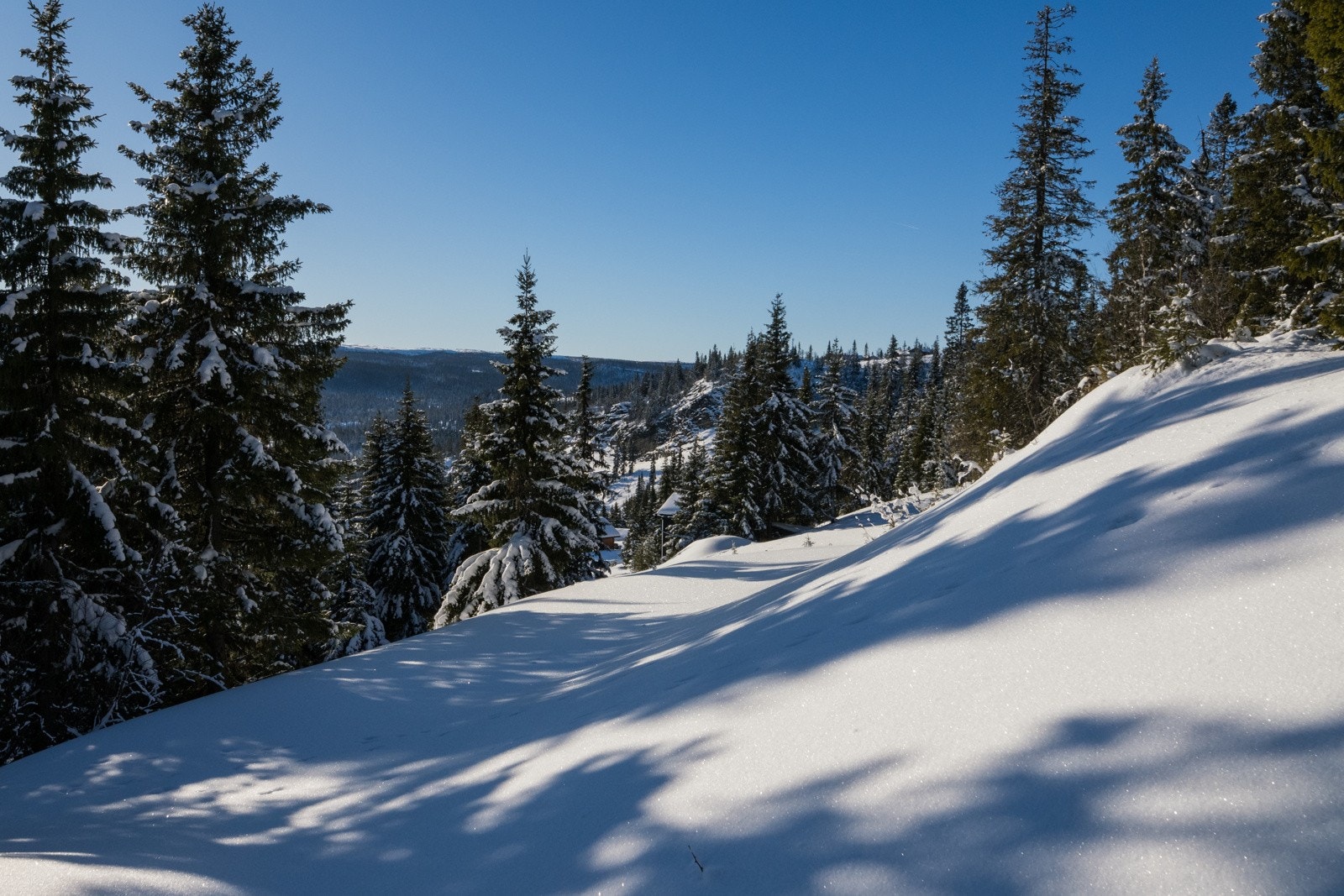 Tomtene er lett tilgjengelig med bilvei helt frem, noe som sikrer enkel adkomst året rundt. Galleribilde