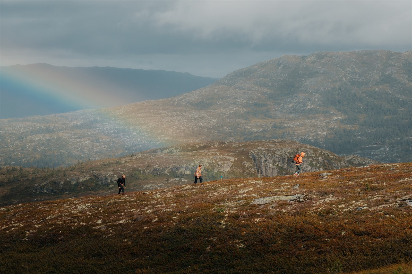 Velkommen til fjells. Galleribilde