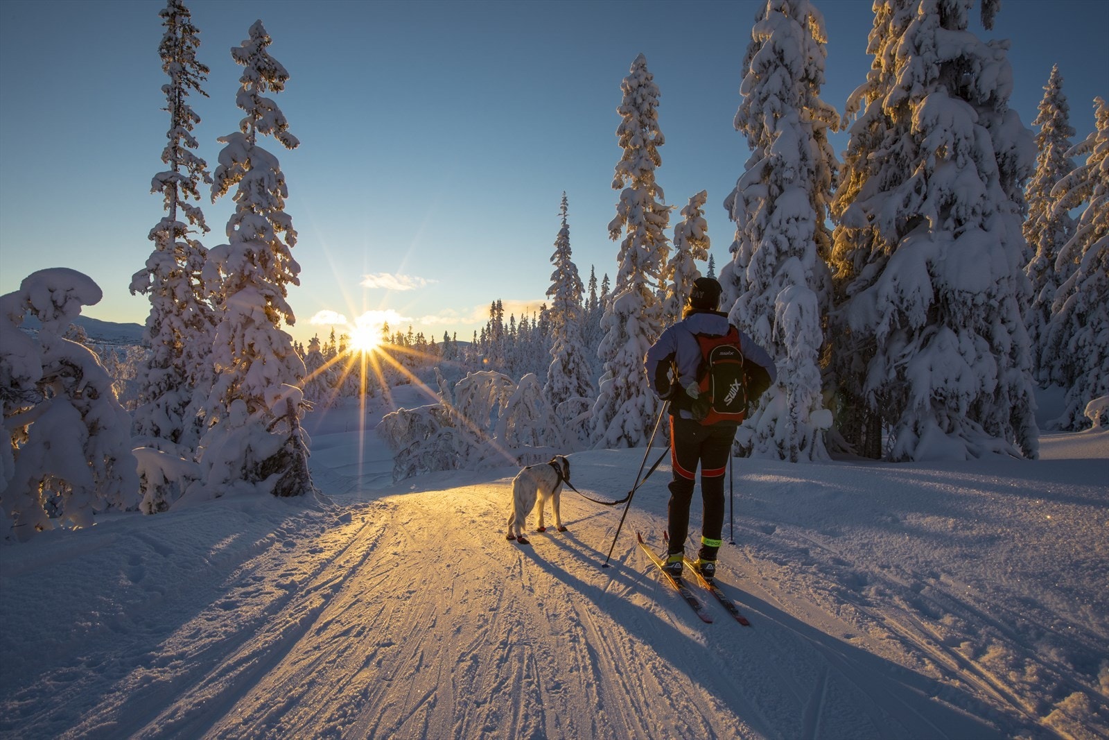Nyt langrennsløyper rett utenfor døren. Galleribilde