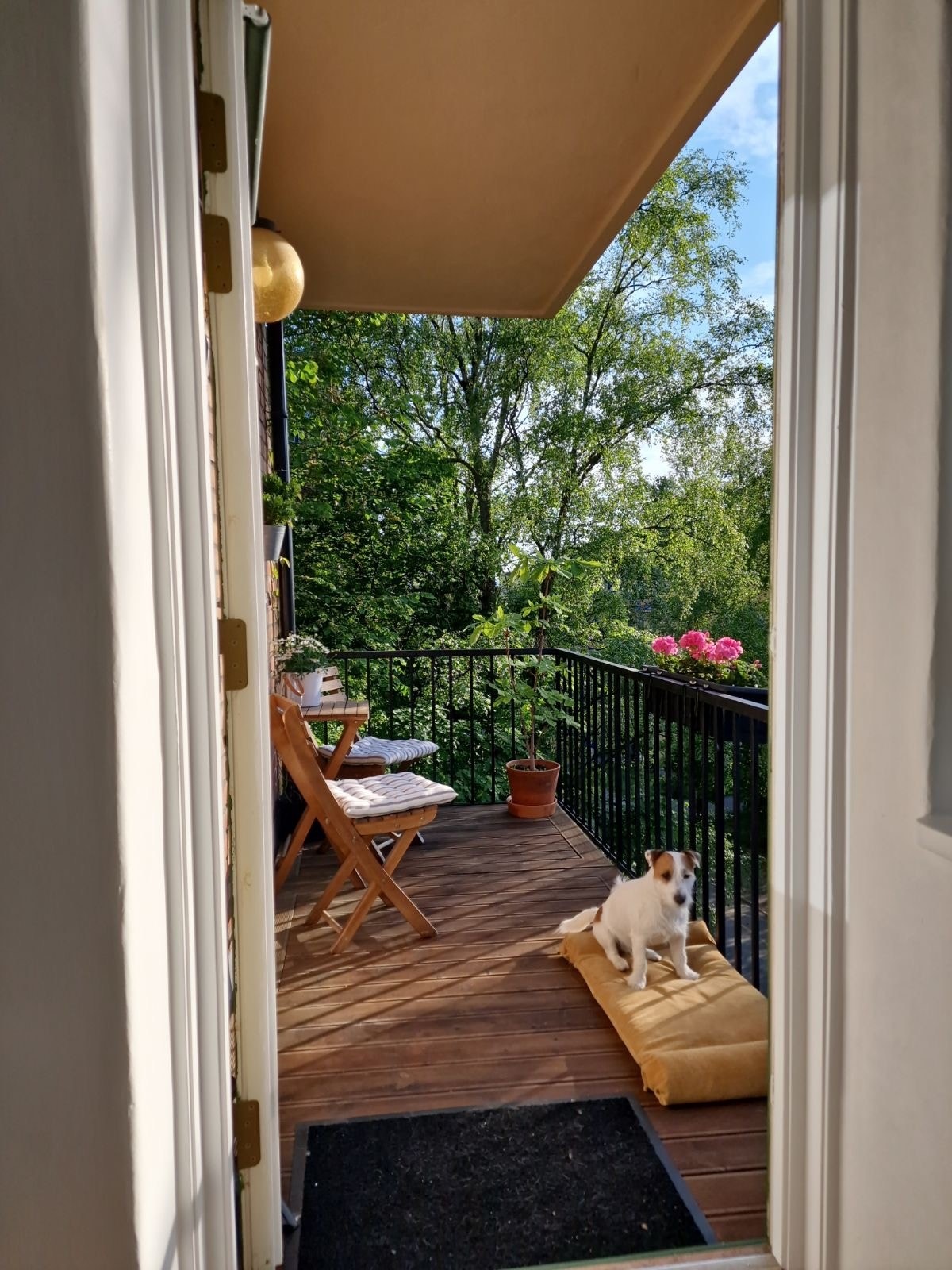 Bilde fra tidligere eier (godkjent til bruk) som en illustrasjon av hvordan det ser ut på sommerhalvåret Galleribilde