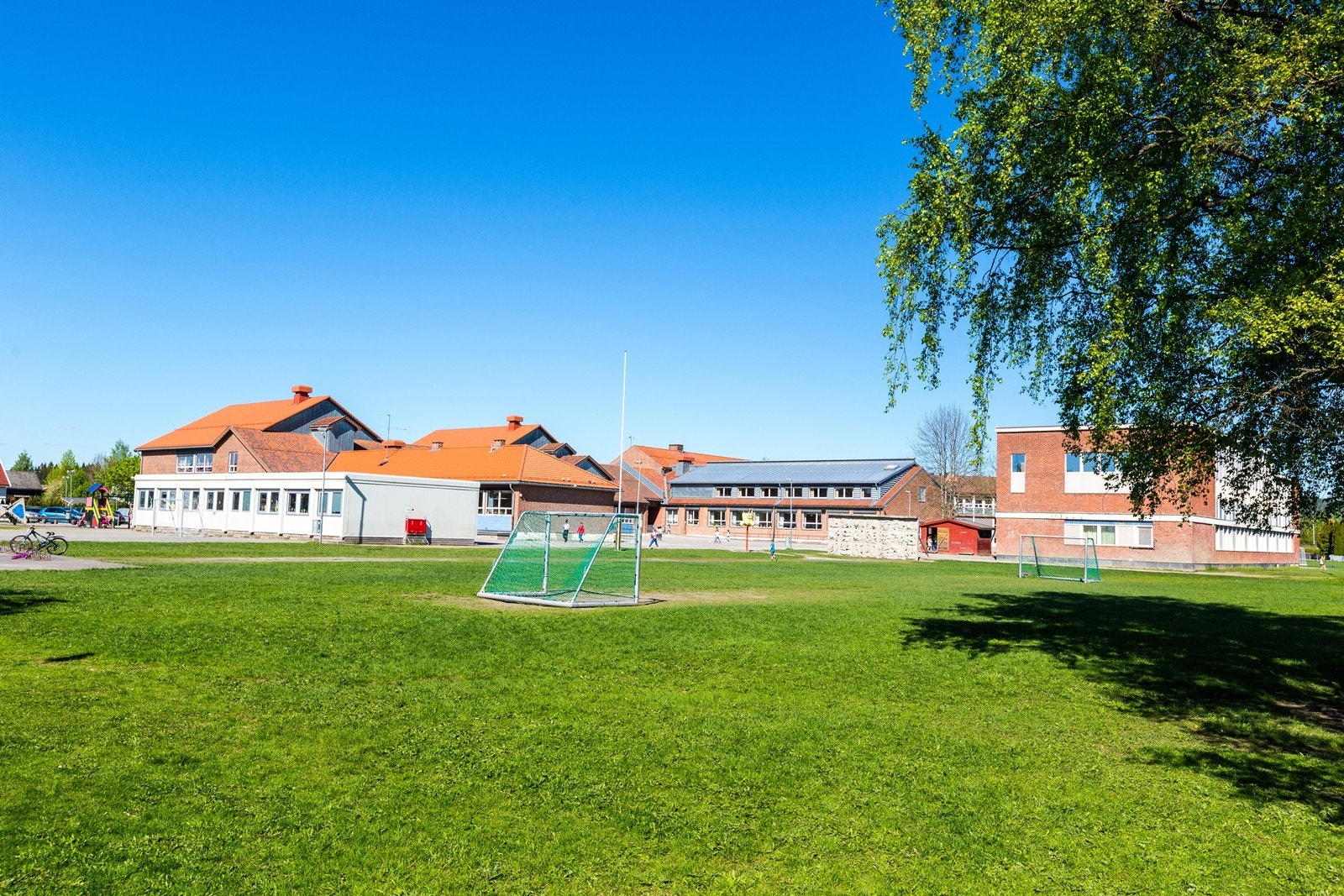 Vigernes skole. Galleribilde