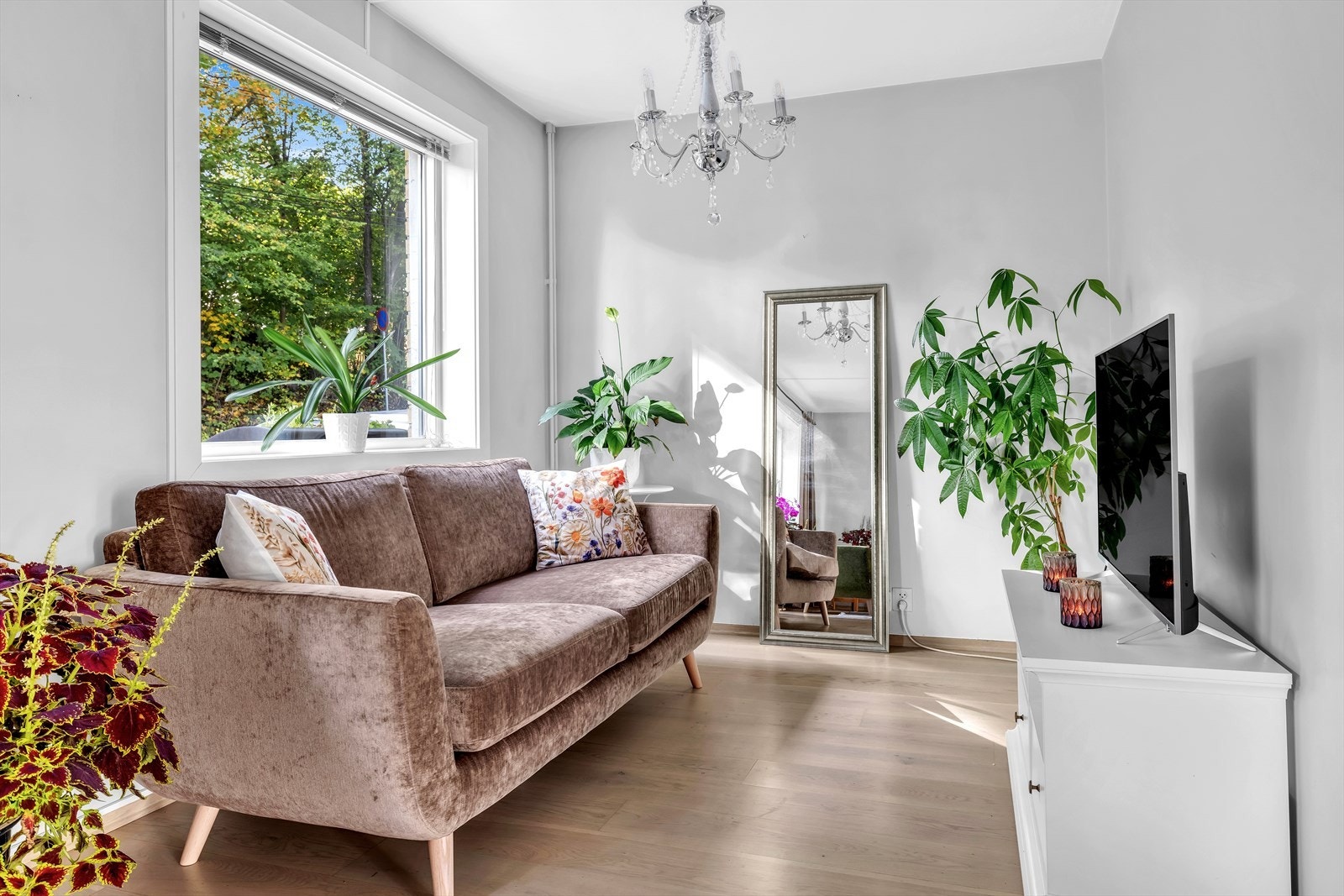 Perfekt plass for tv-gruppe Galleribilde