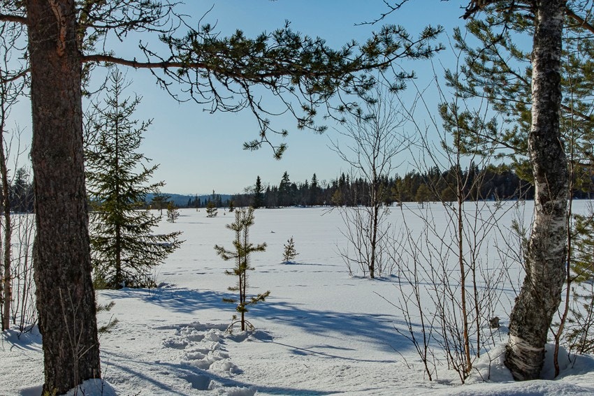 Nærhet til fine gå- og sykkelturer, fiske, toppturer og bading i elvekulper og fjellvann. Galleribilde