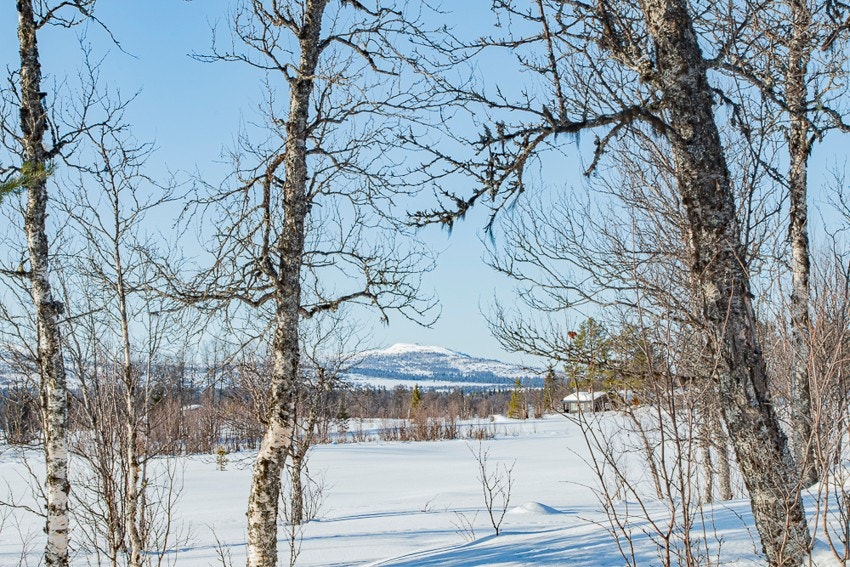 Utsikt utover området mot Storefjell og Oset. Galleribilde