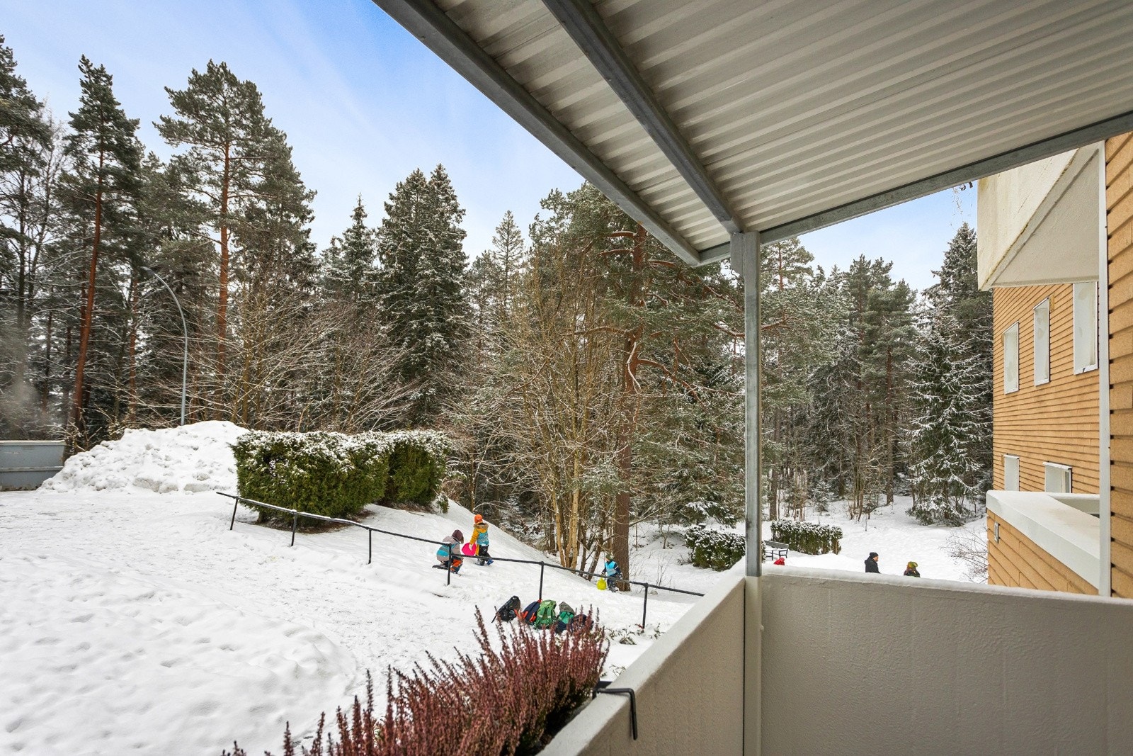 Skog/friområder som nærmeste nabo Galleribilde