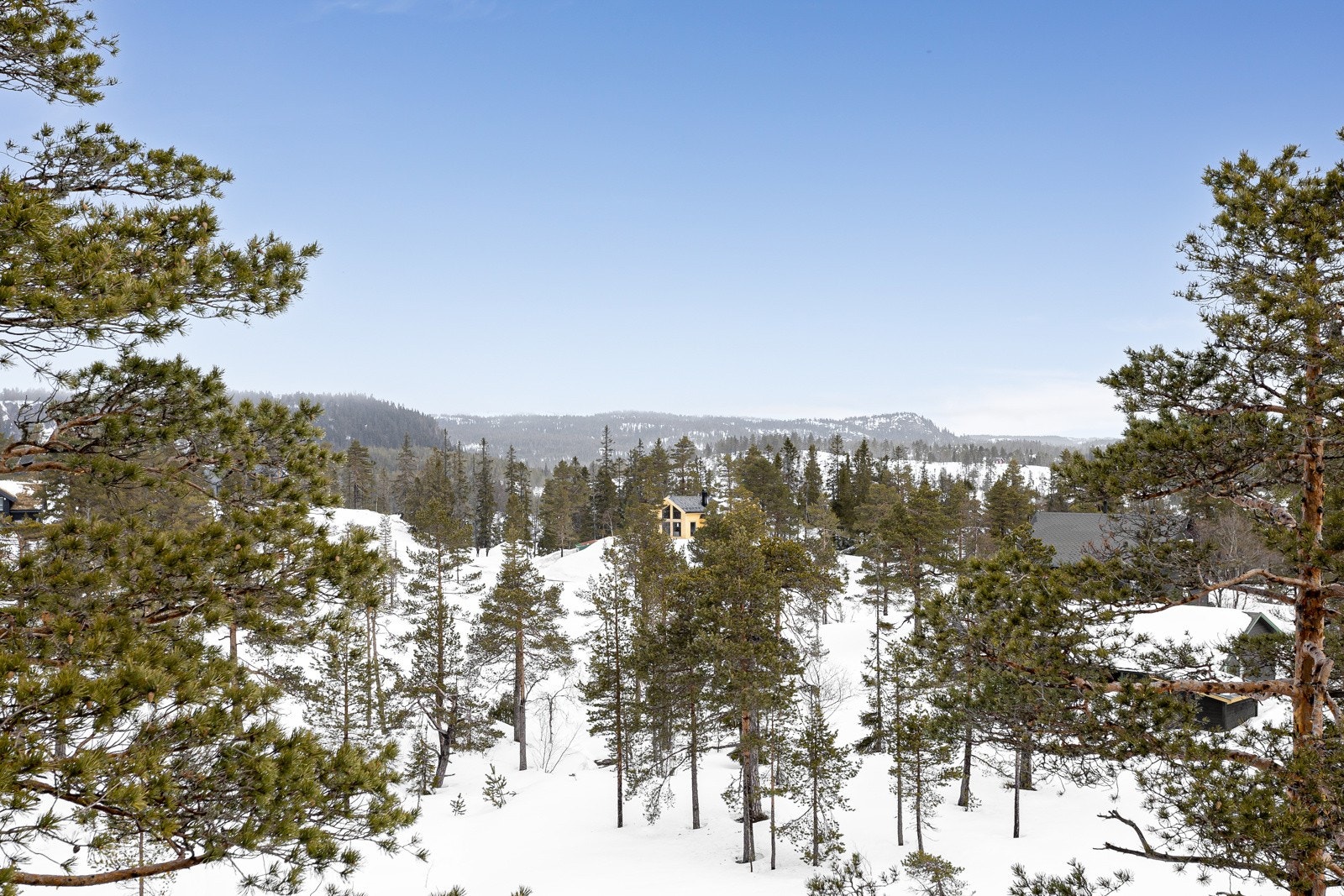 I dette nydelige fjellområdet kan du nyte milevis med skiløyper, de fleste er maskinpreparerte. Galleribilde