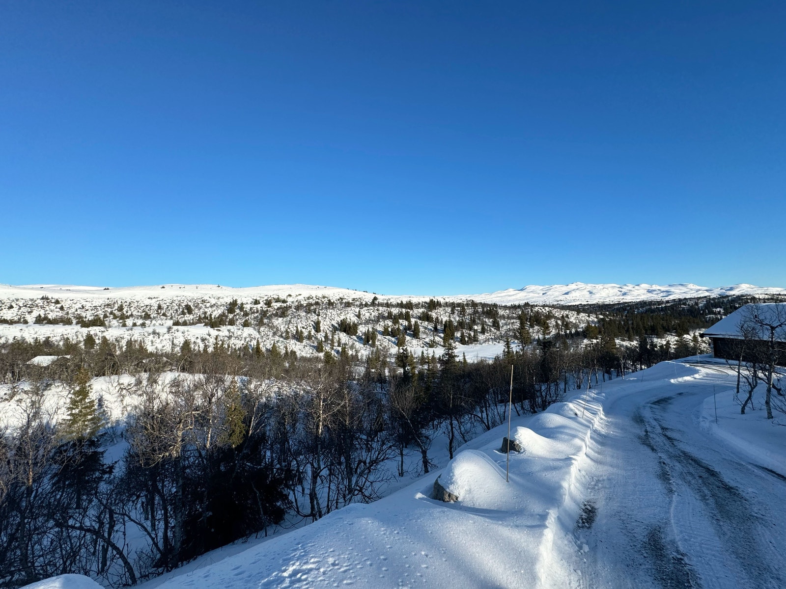 Bilde fra tomten, tatt februar 2025. Galleribilde