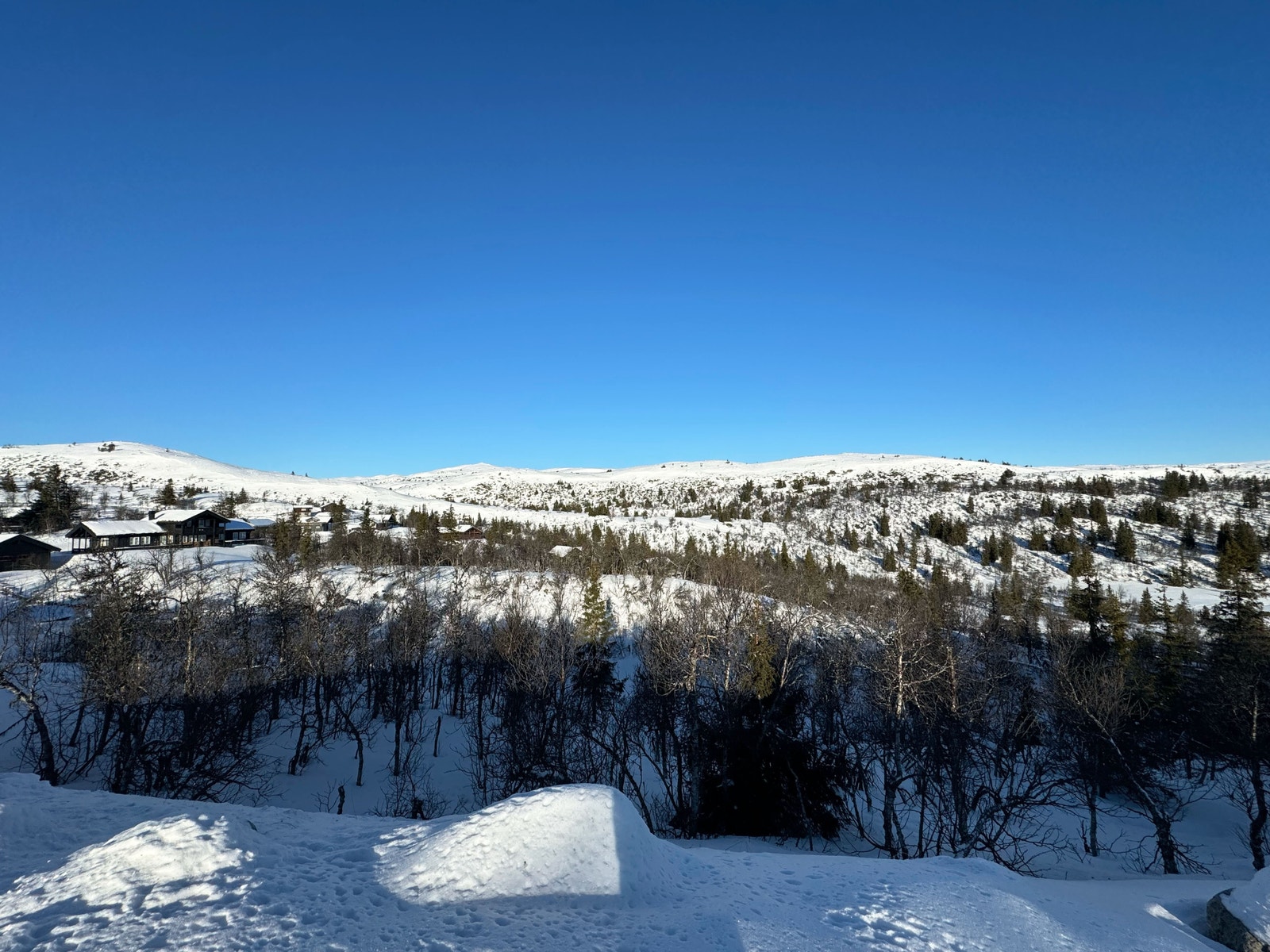 Bilde fra tomten, tatt februar 2025. Galleribilde