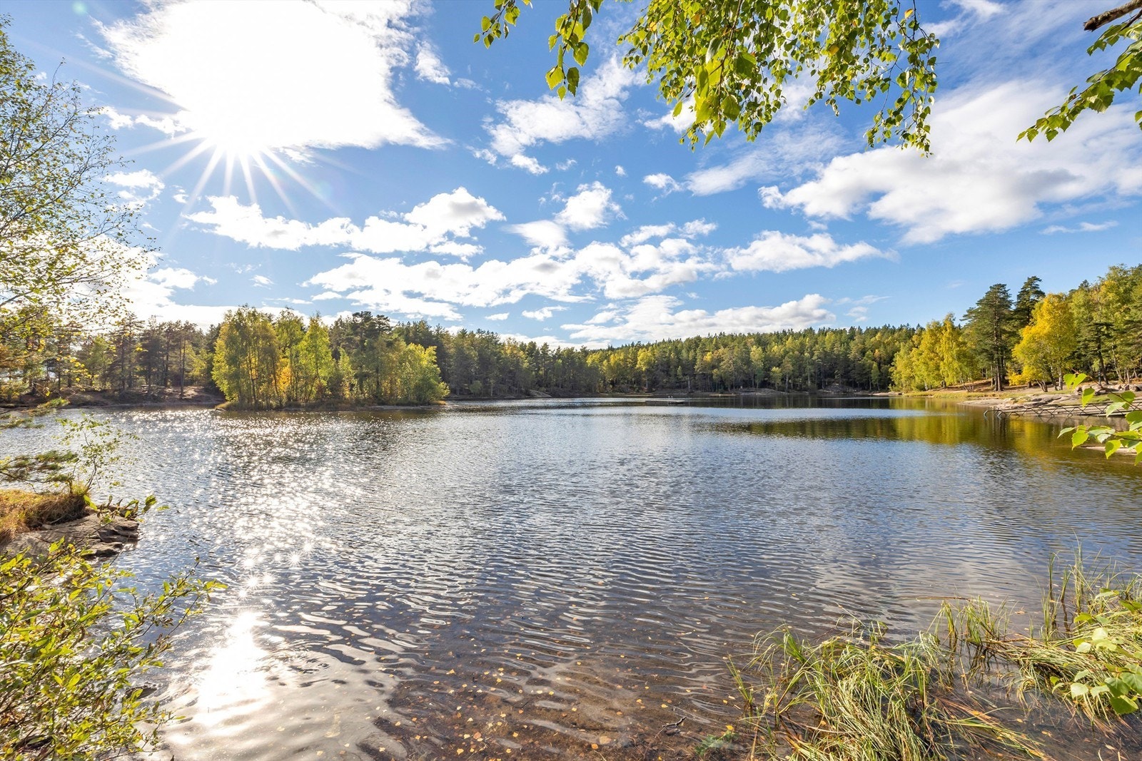 På litt lengre turer kan du gå til Romstjern. Galleribilde