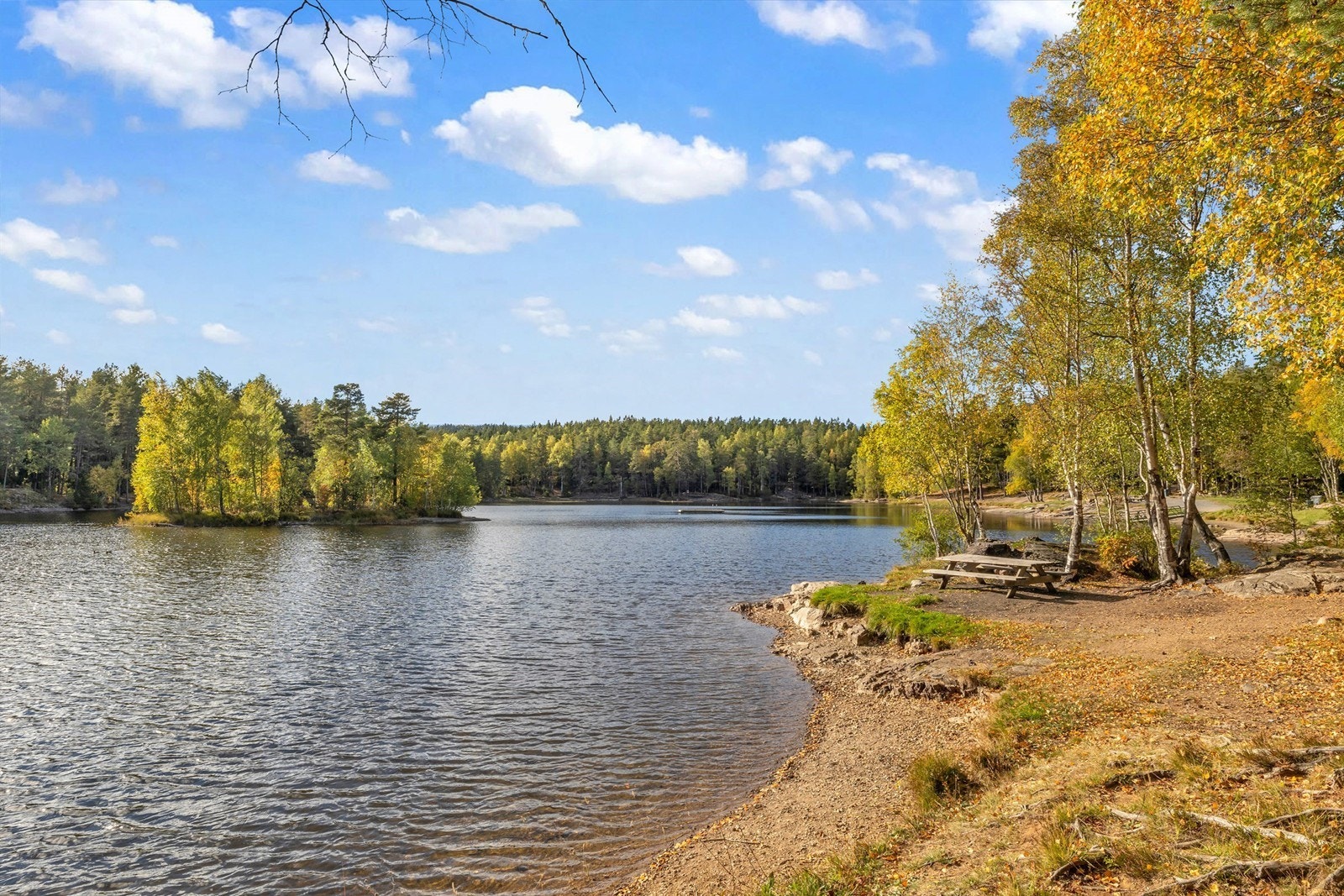 Det finnes bademuligheter i Vesletjern, Steinbruvannet og Badedammen. Galleribilde