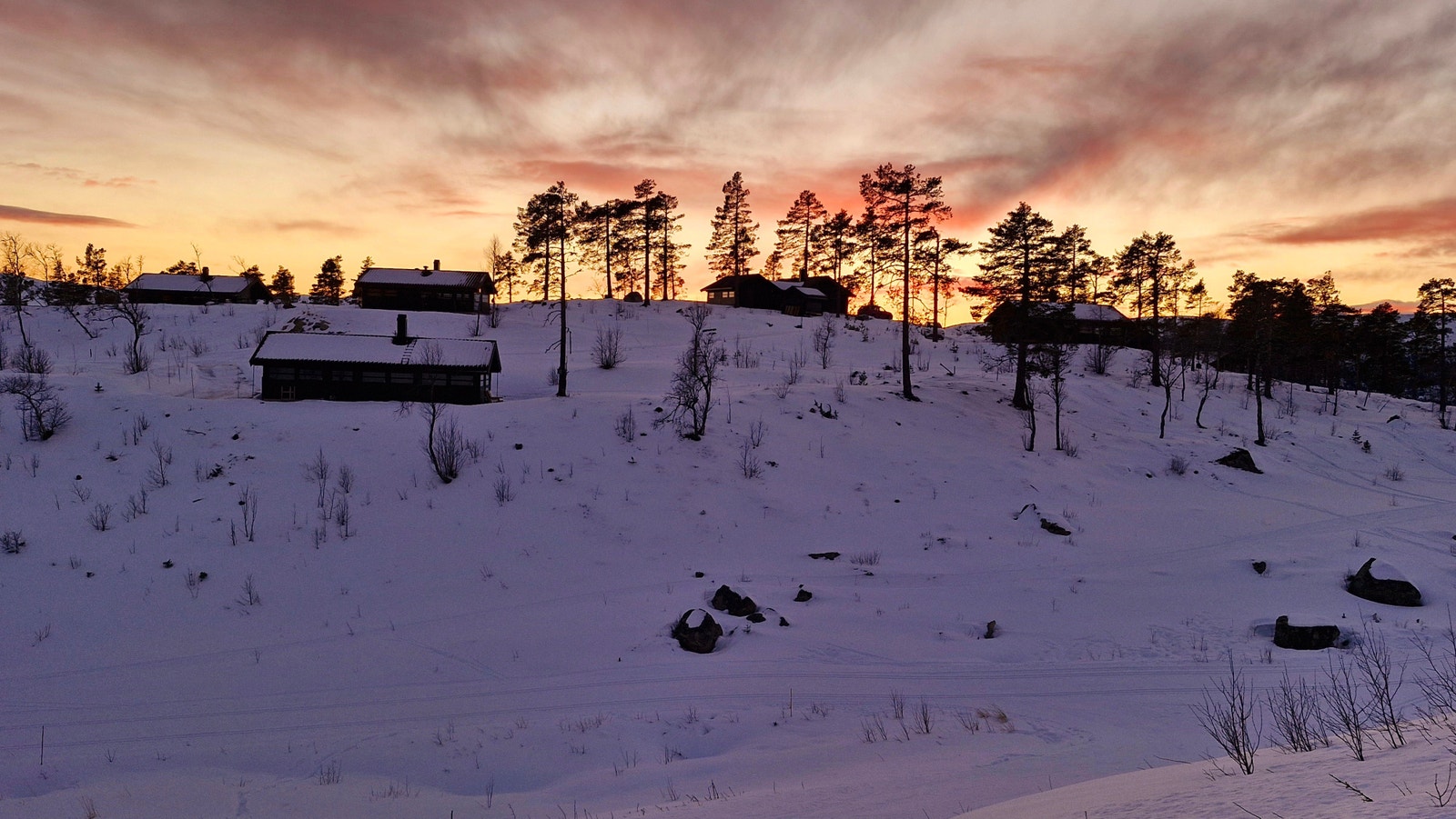 Tomt 45 ligger midt i bildet Galleribilde