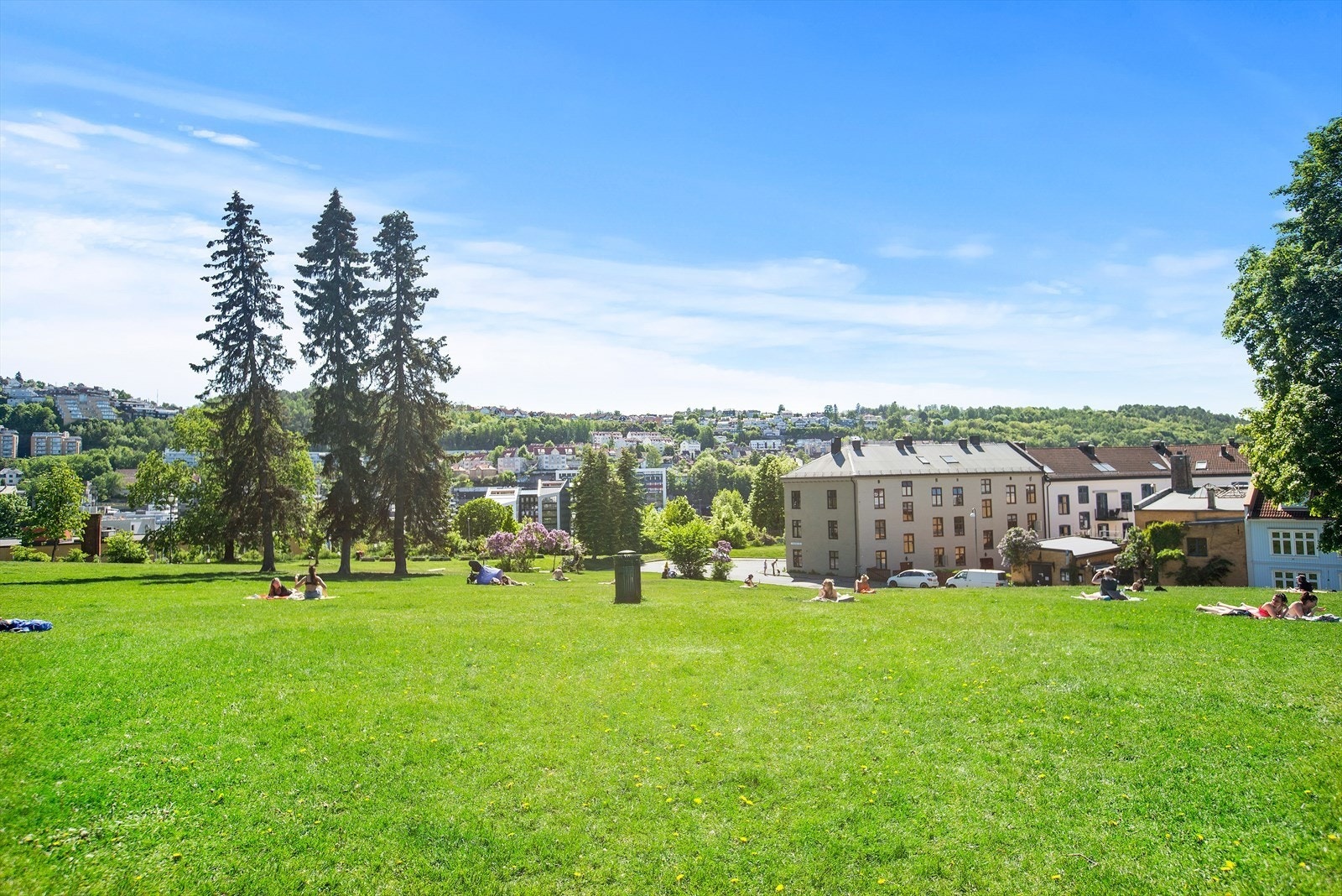 Kort gange til Vålerenga. På Vålerenga har du sjarmerende trehusbebyggelse, parker mm. Galleribilde