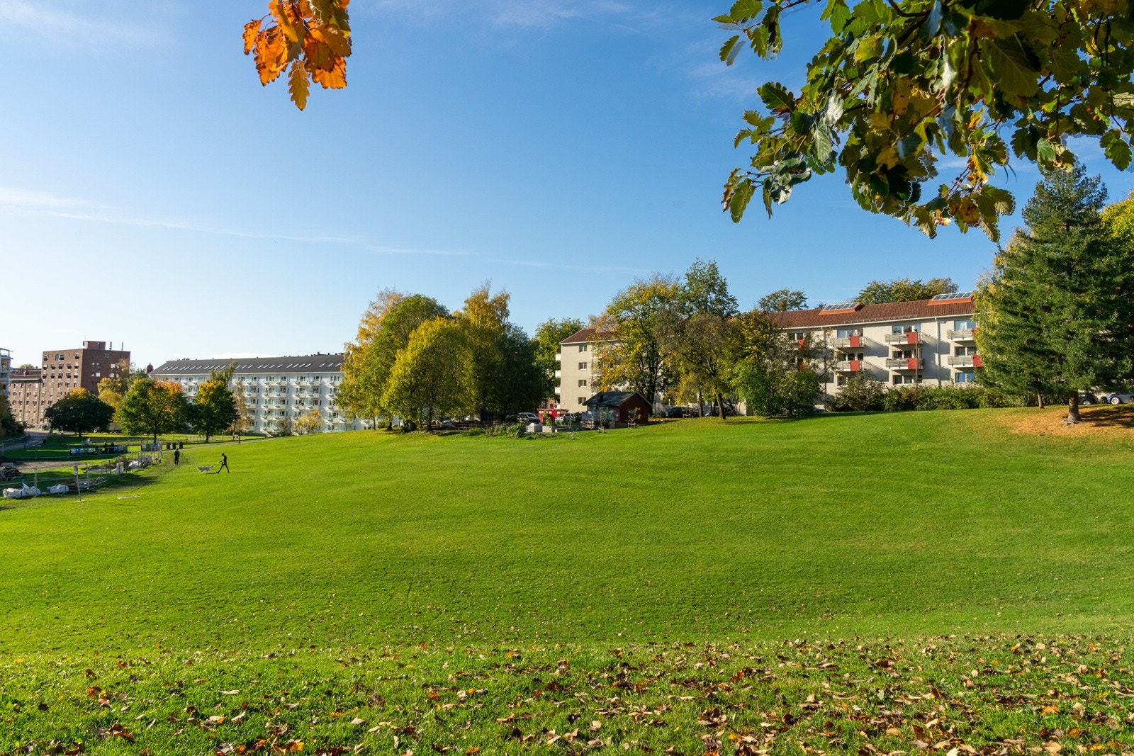 Iladalen park. Galleribilde