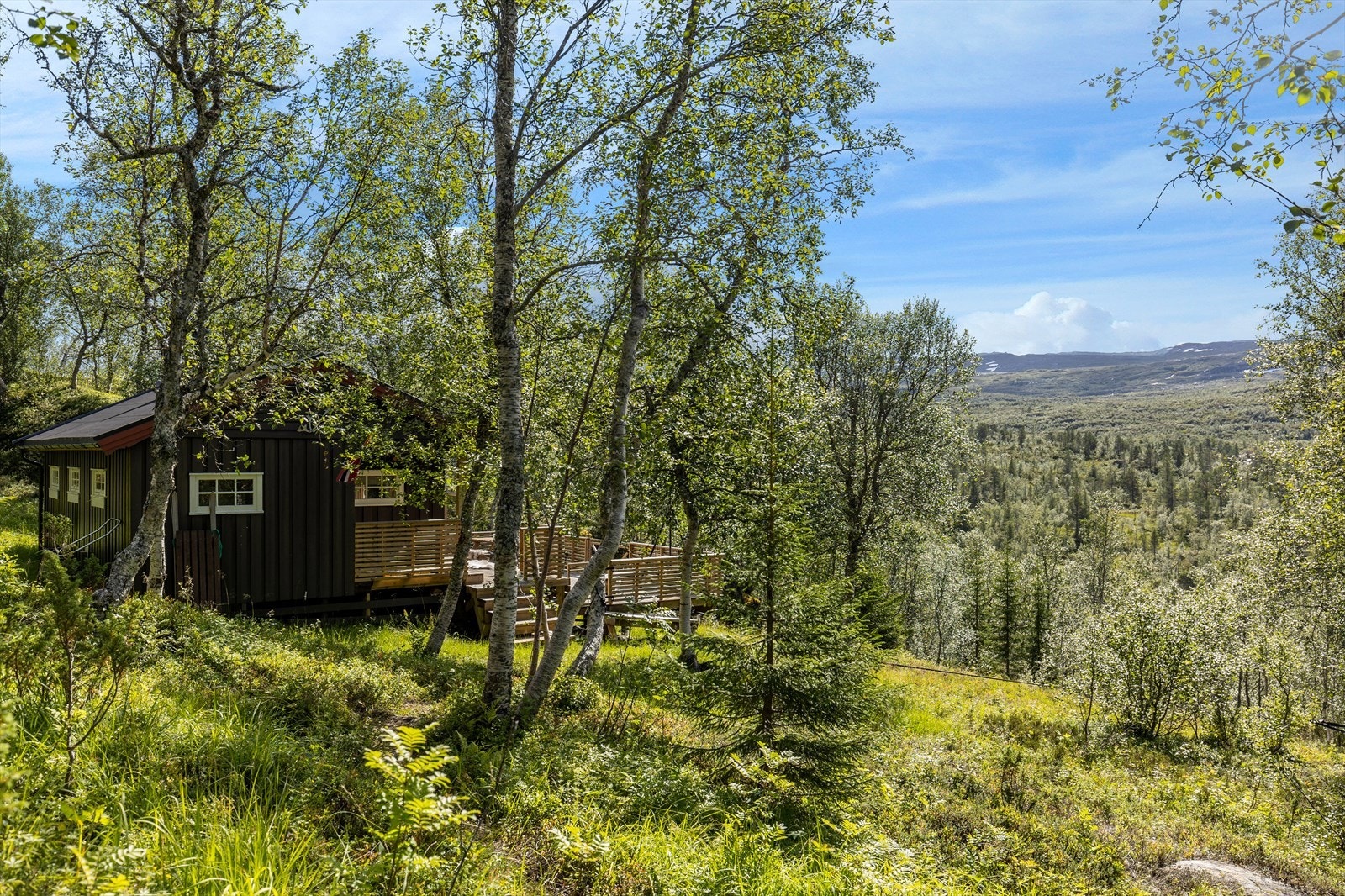 Uteområde Galleribilde