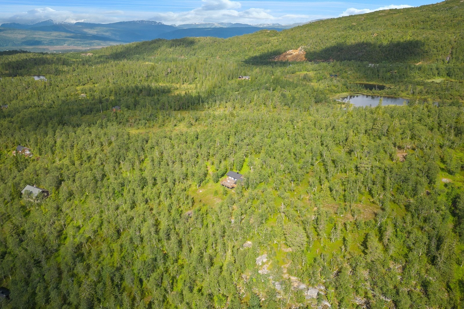 Dronefoto Galleribilde