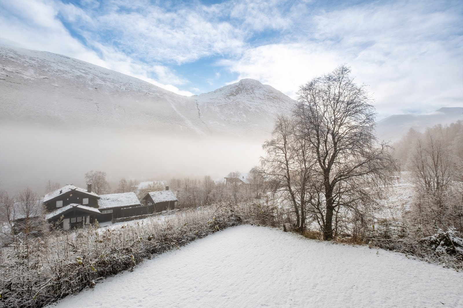 Utsikten fra veranda Galleribilde