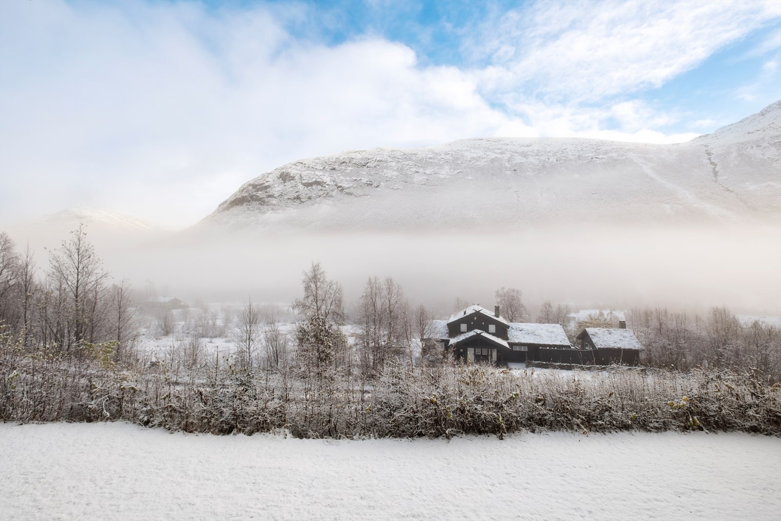 Utsikten fra veranda Galleribilde