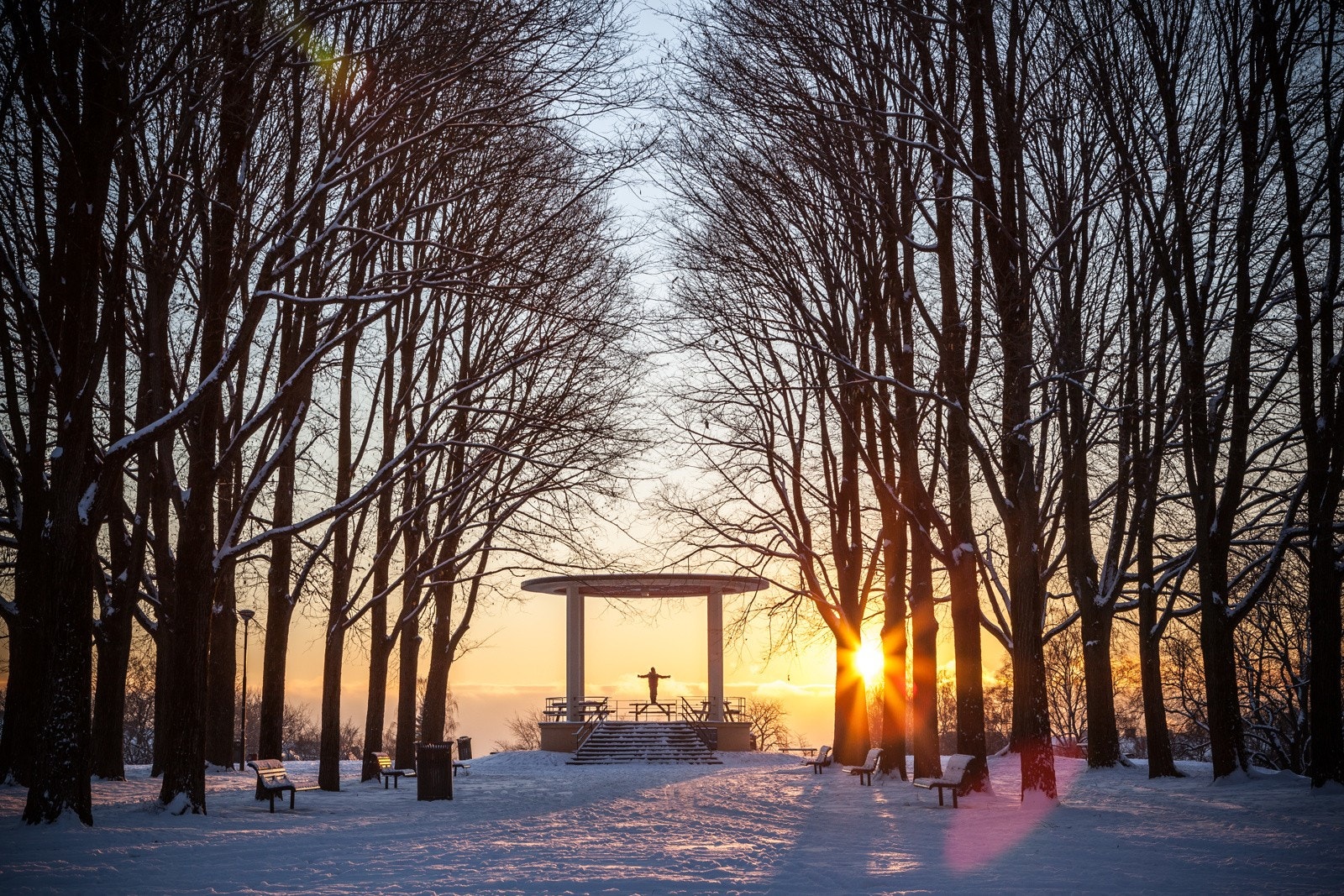 Torshovparken og flere andre parker ligger også rett i nærheten. Galleribilde