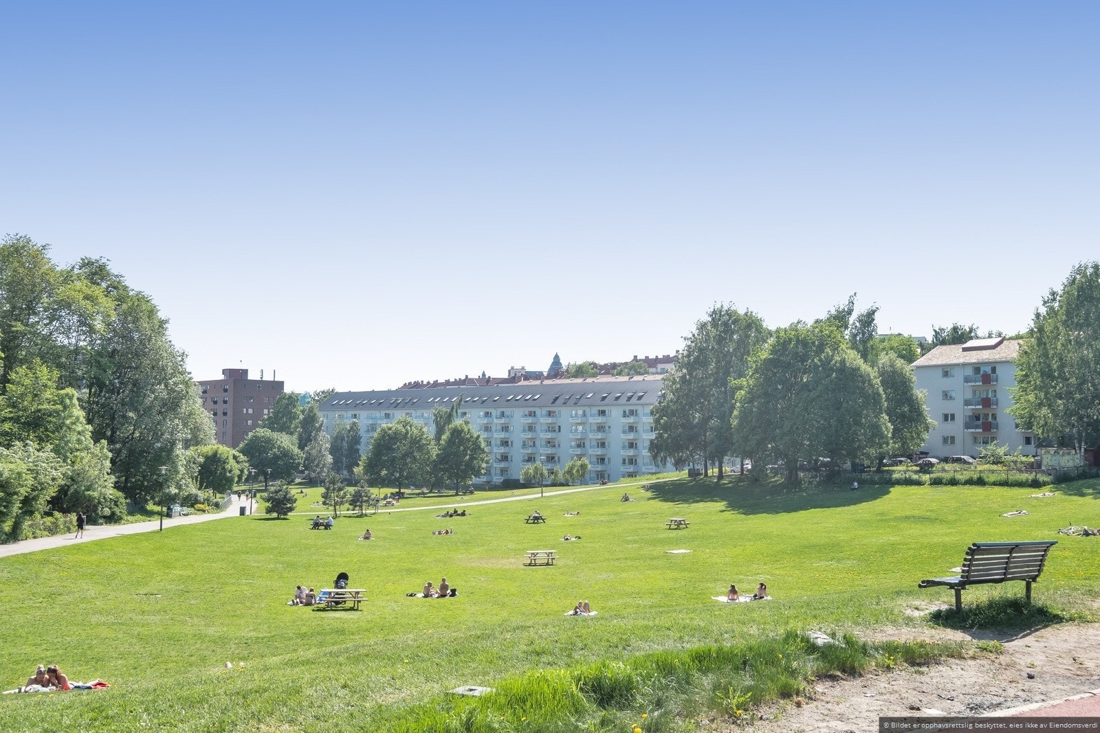 Idylliske Ilaparken som nærmeste nabo. Galleribilde