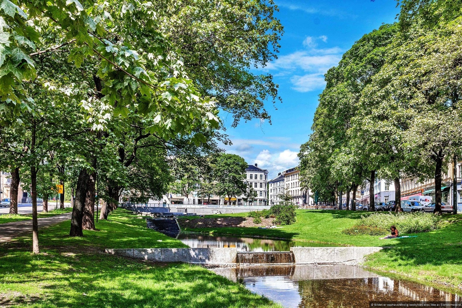 Nærområdet. Galleribilde