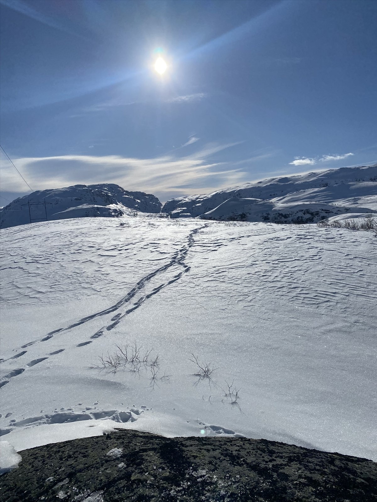 Privat bilde fra eier. Galleribilde