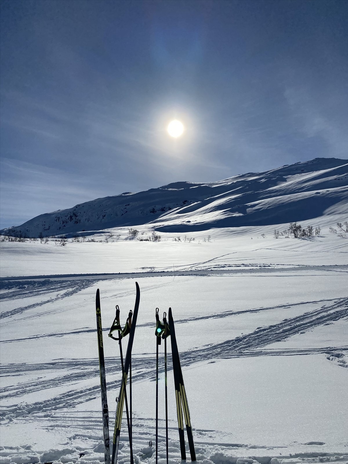 Privat bilde fra eier. Galleribilde