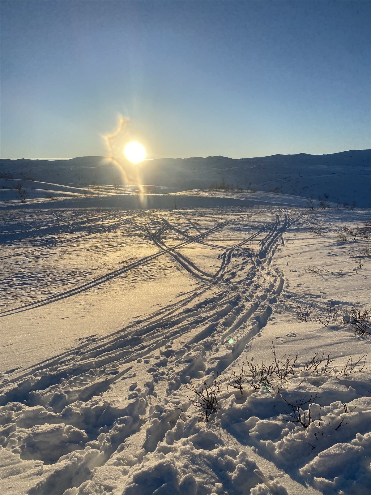 Privat bilde fra eier. Galleribilde