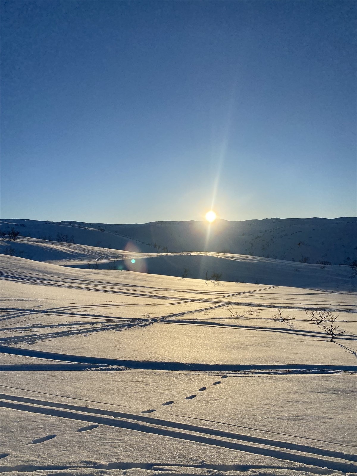 Privat bilde fra eier. Galleribilde