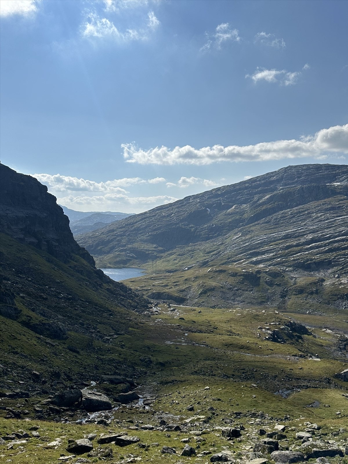 Privat bilde fra eier. Galleribilde