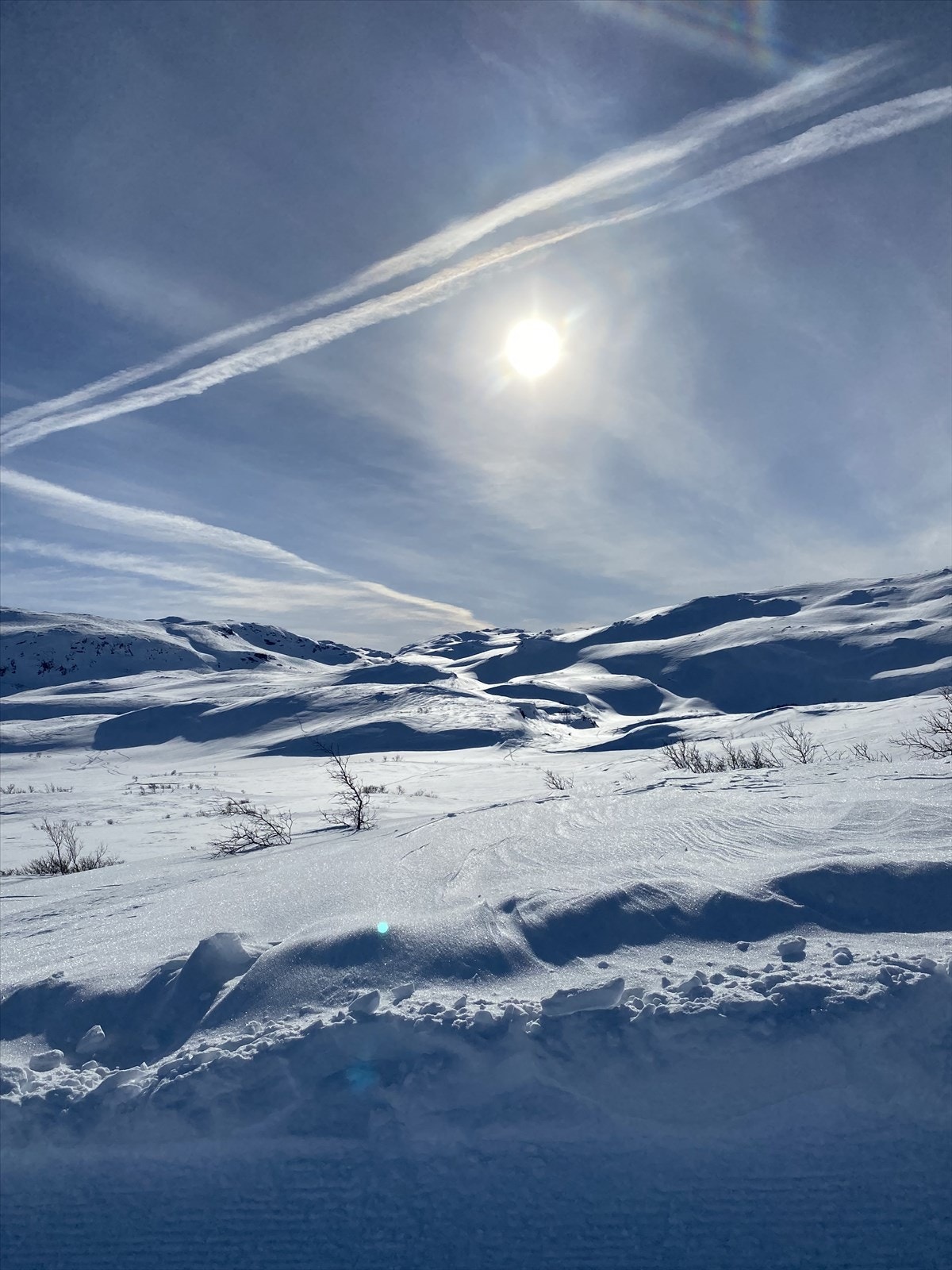 Privat bilde fra eier. Galleribilde