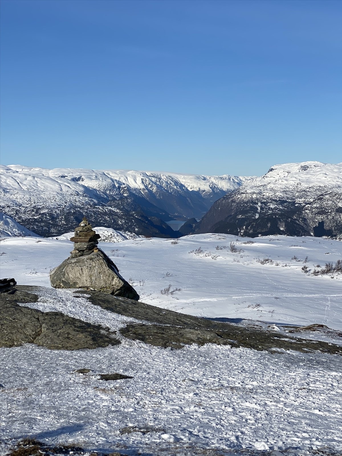 Privat bilde fra eier. Galleribilde