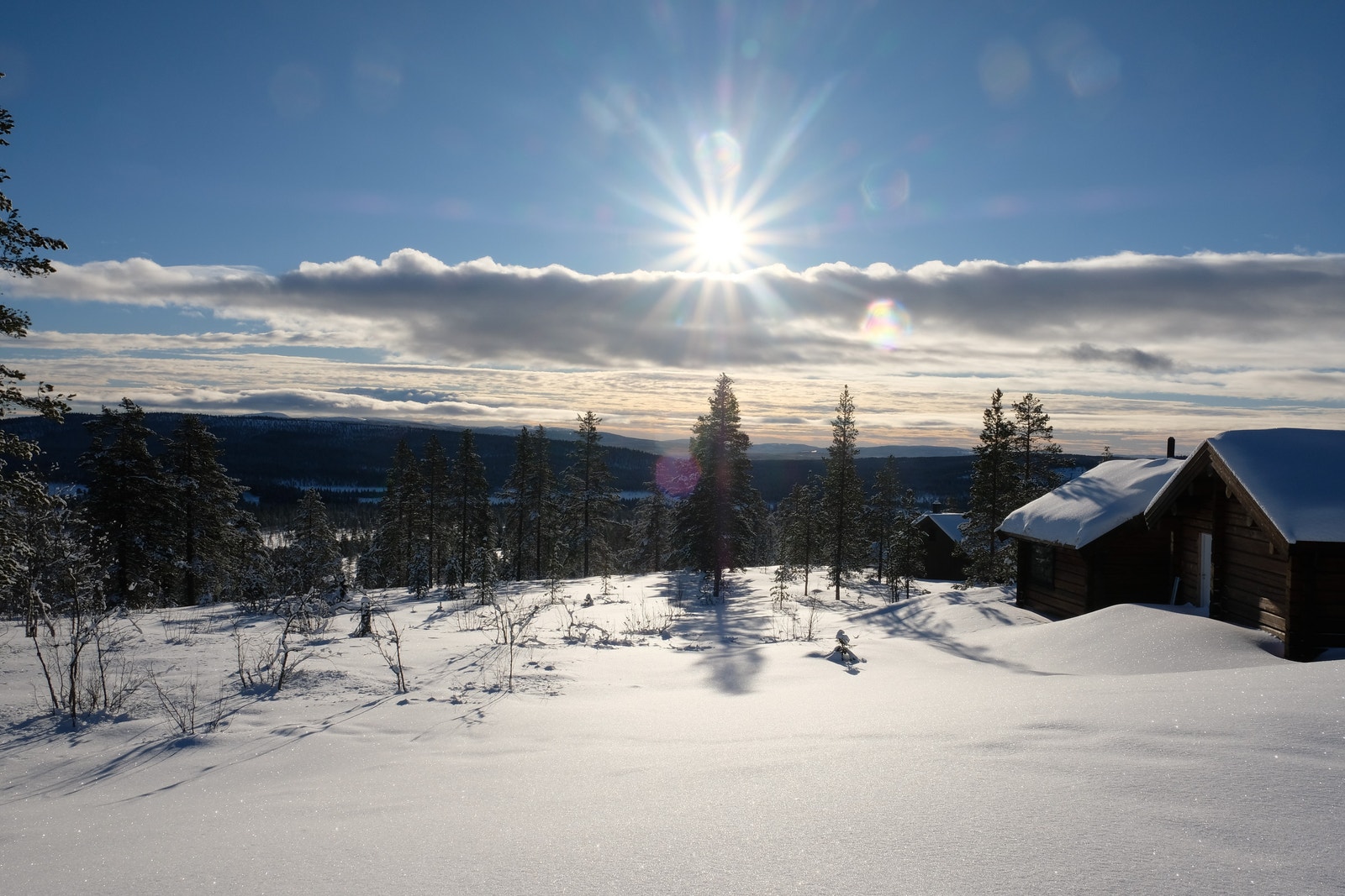 Utsikt i sørlig retning fra punkt ett par meter nedenfor eiendomsgrensen Galleribilde
