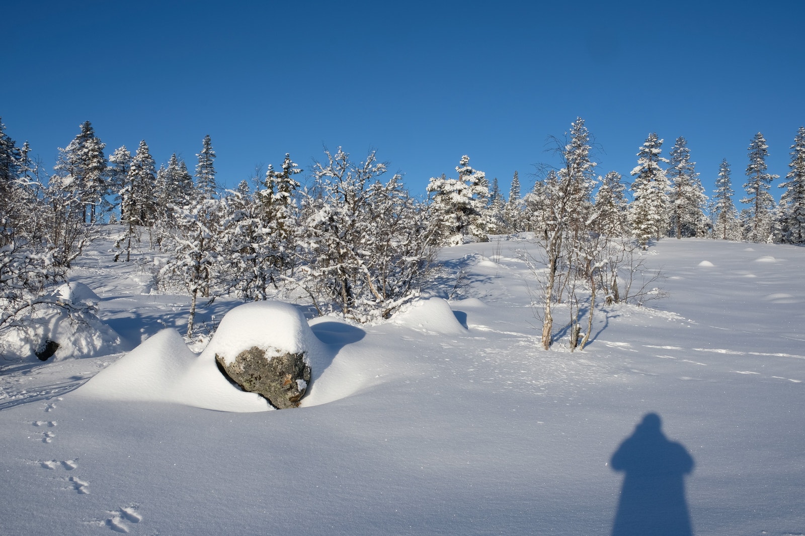 Bilde av tomten sett fra nedsiden (sør for tomten) Galleribilde