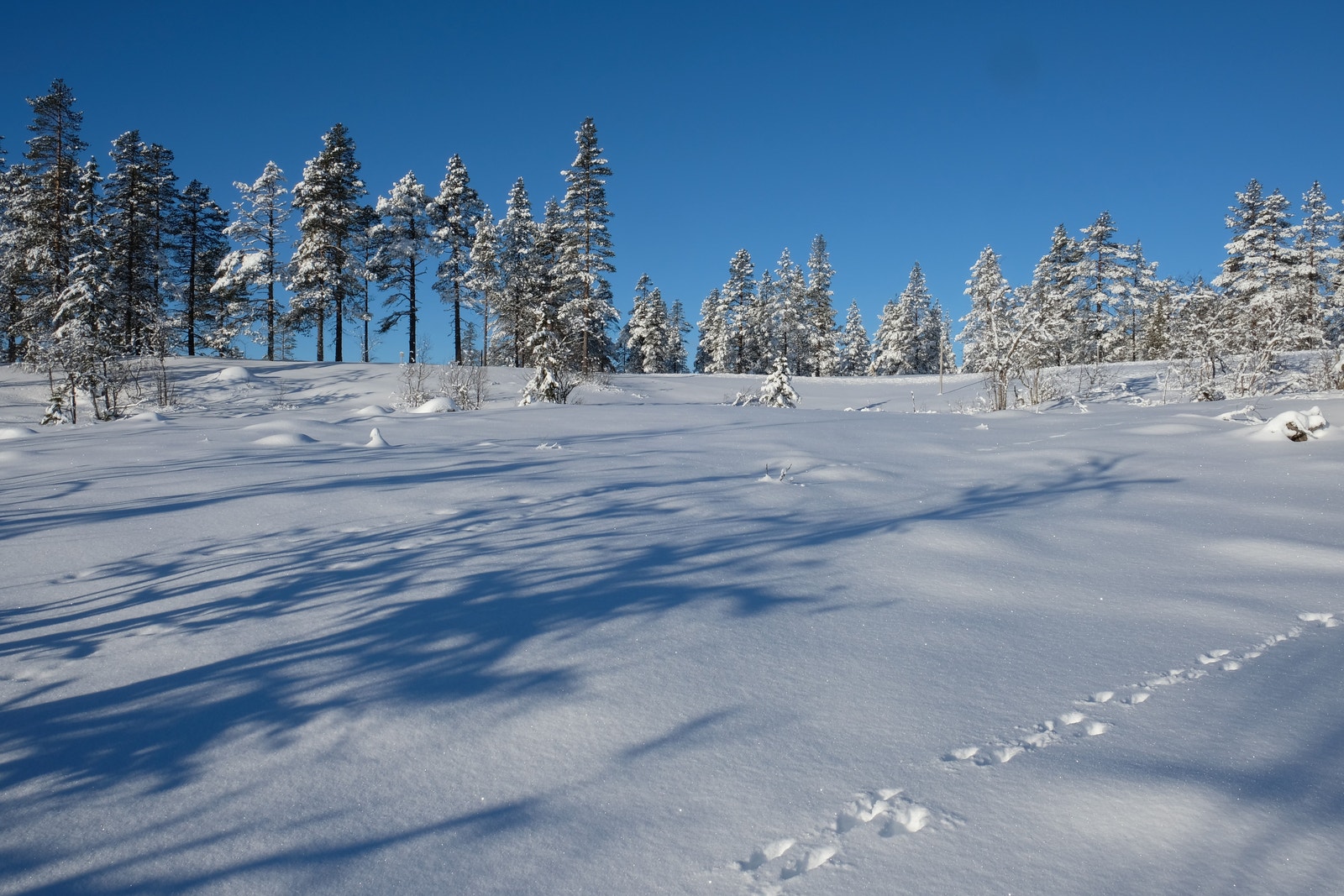 Bilde fra øvre del av tomt i retning nord Galleribilde